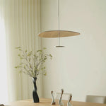 Eryndor Disc Pendant Lamp - Lamp Outdoor