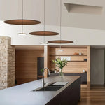 Eryndor Disc Pendant Lamp - Lamp Outdoor