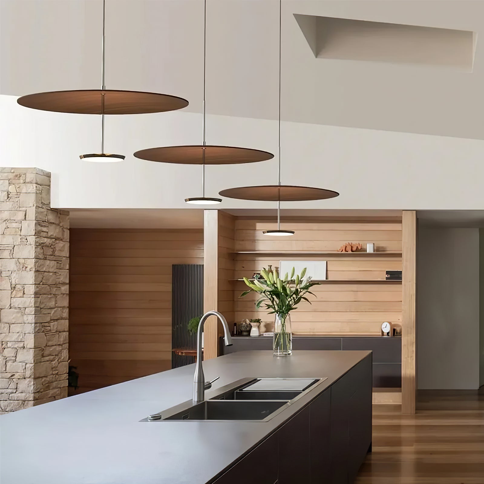 Eryndor Disc Pendant Lamp - Lamp Outdoor
