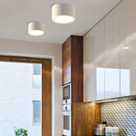 Ethan Surface Ceiling Light - Lamp Outdoor