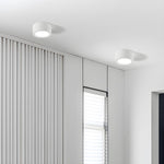 Ethan Surface Ceiling Light - Lamp Outdoor