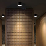 Ethan Surface Ceiling Light - Lamp Outdoor