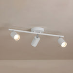 Evanna Ceiling Light - Lamp Outdoor