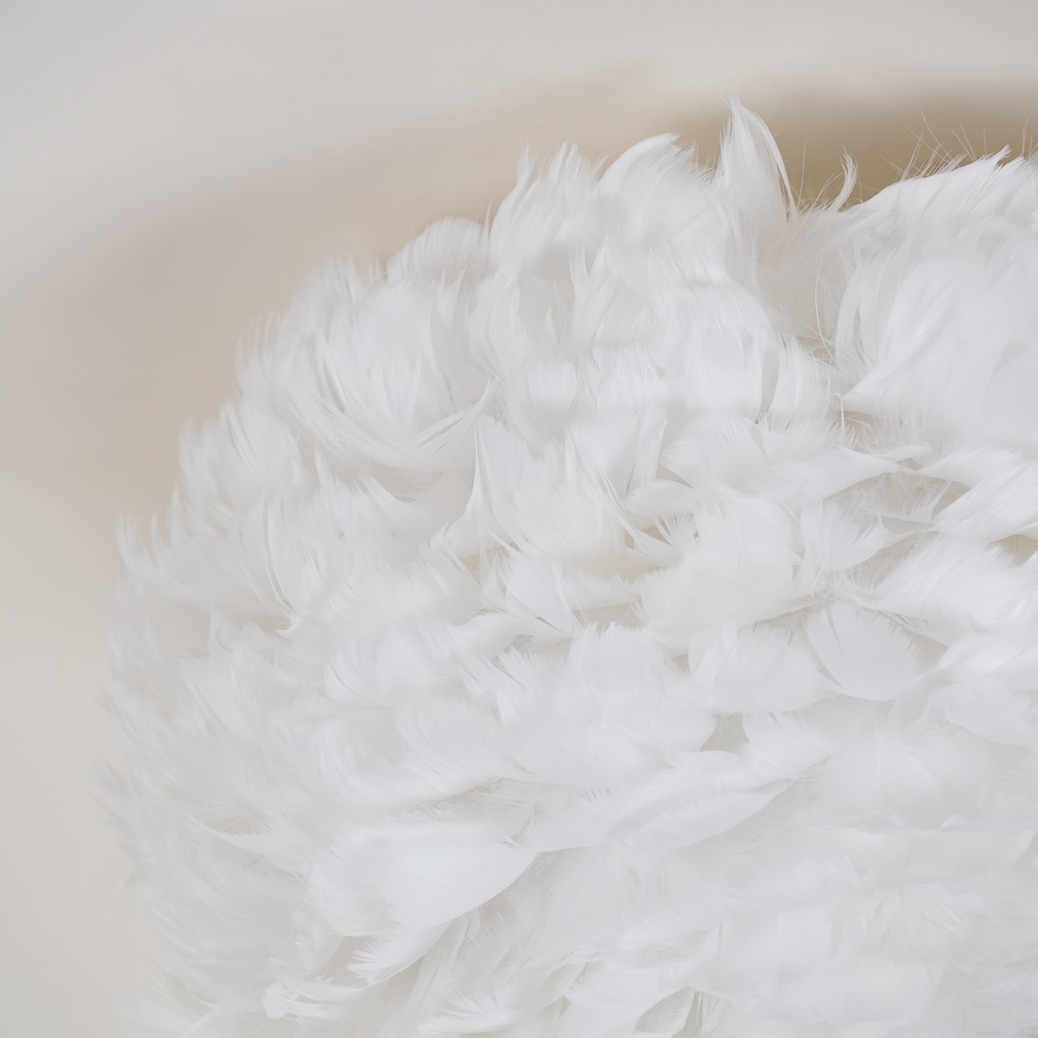 Feathered Ceiling Lamp - Lamp Outdoor