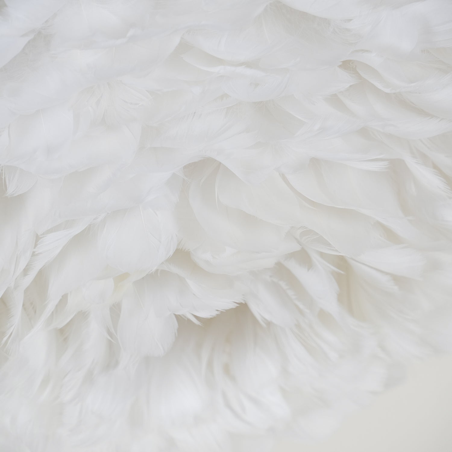 Feathered Ceiling Lamp - Lamp Outdoor