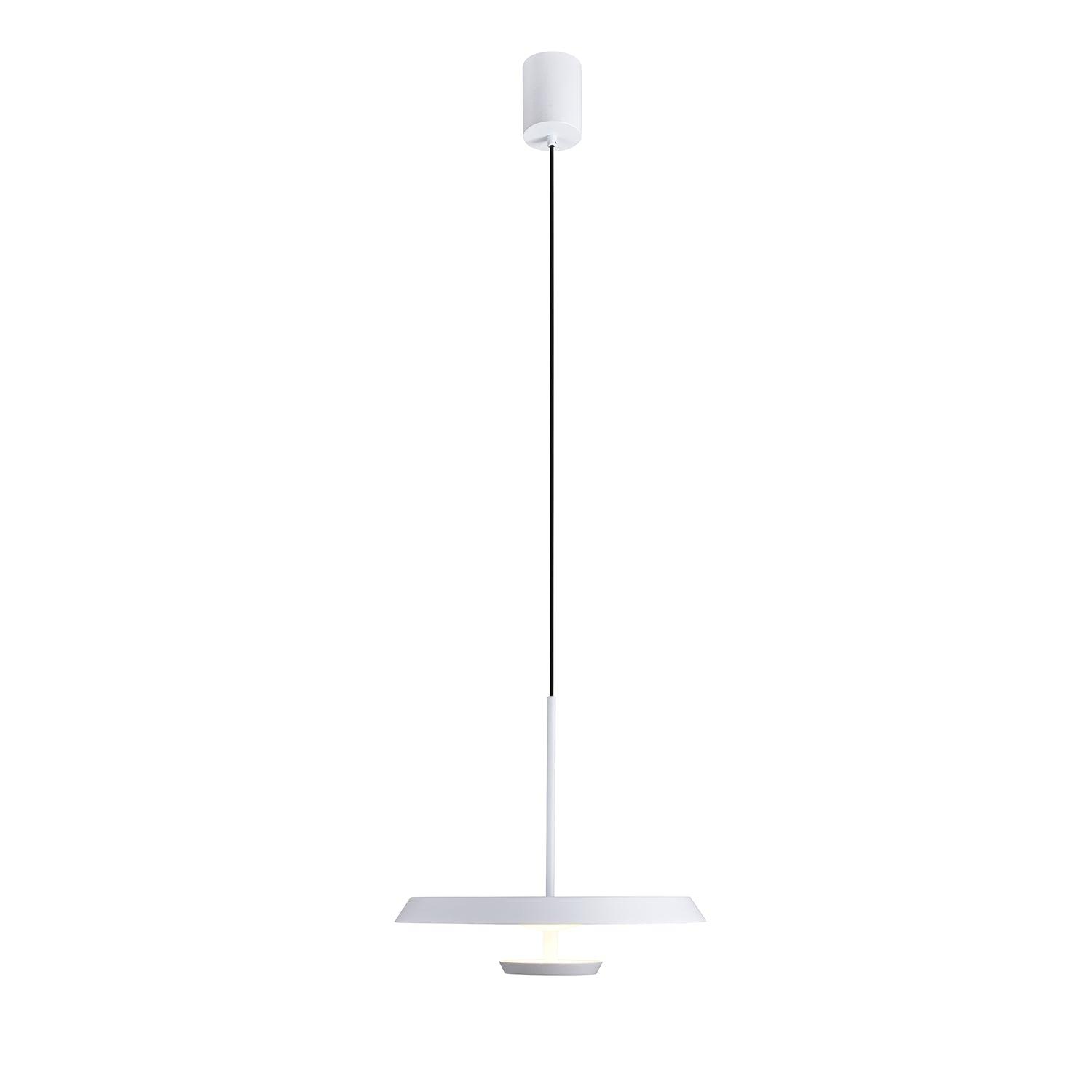 Flat Pendant Light - Lamp Outdoor