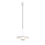 Flat Pendant Light - Lamp Outdoor