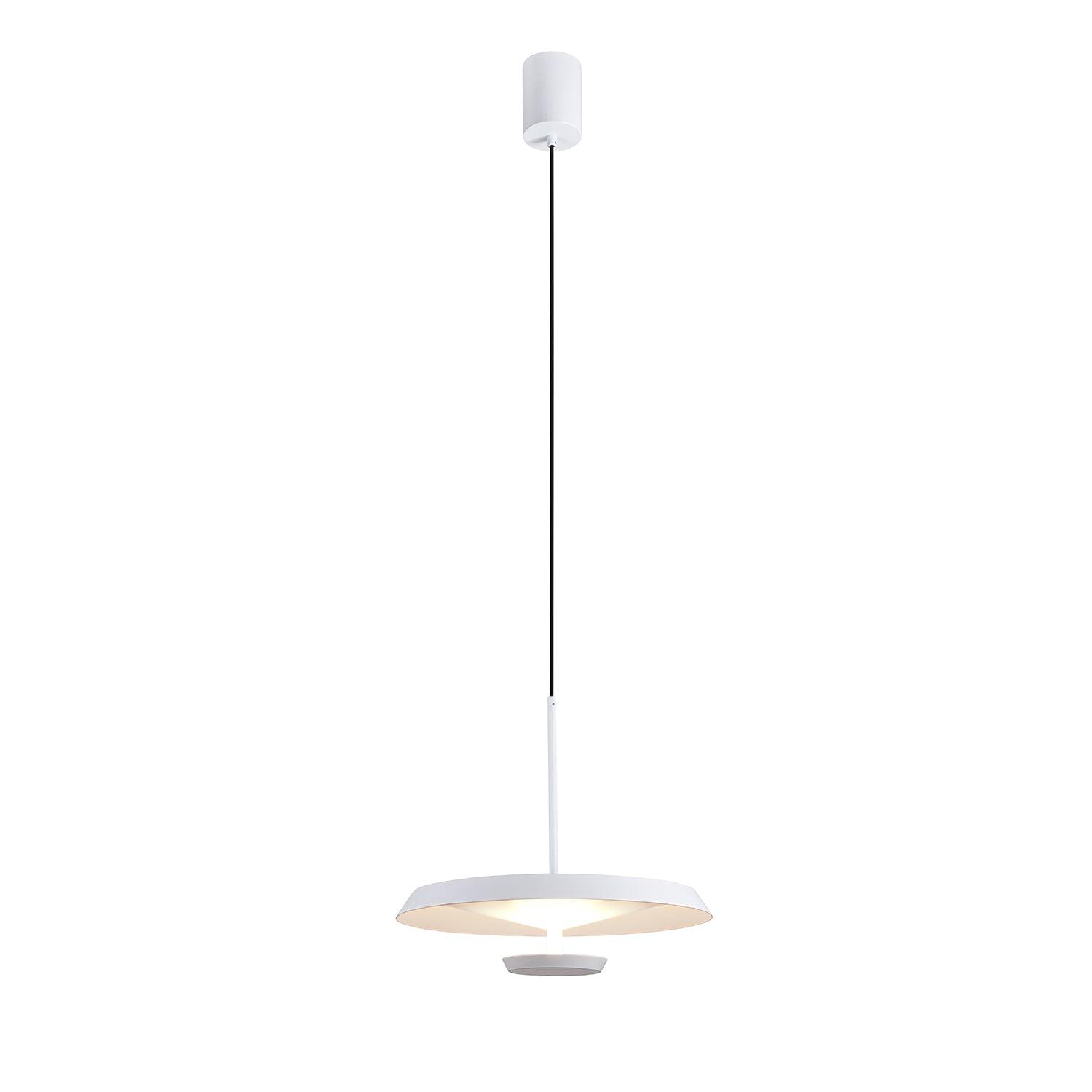 Flat Pendant Light - Lamp Outdoor
