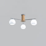 Flower Buds Ceiling Lamp - Lamp Outdoor
