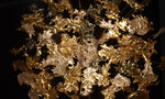 Cosolion Bird Glass Chandelier - Lamp Outdoor