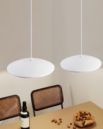 Flying Saucer Resin Pendant Lamp - Lamp Outdoor