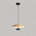 Frisbee Pendant Lamp - Lamp Outdoor