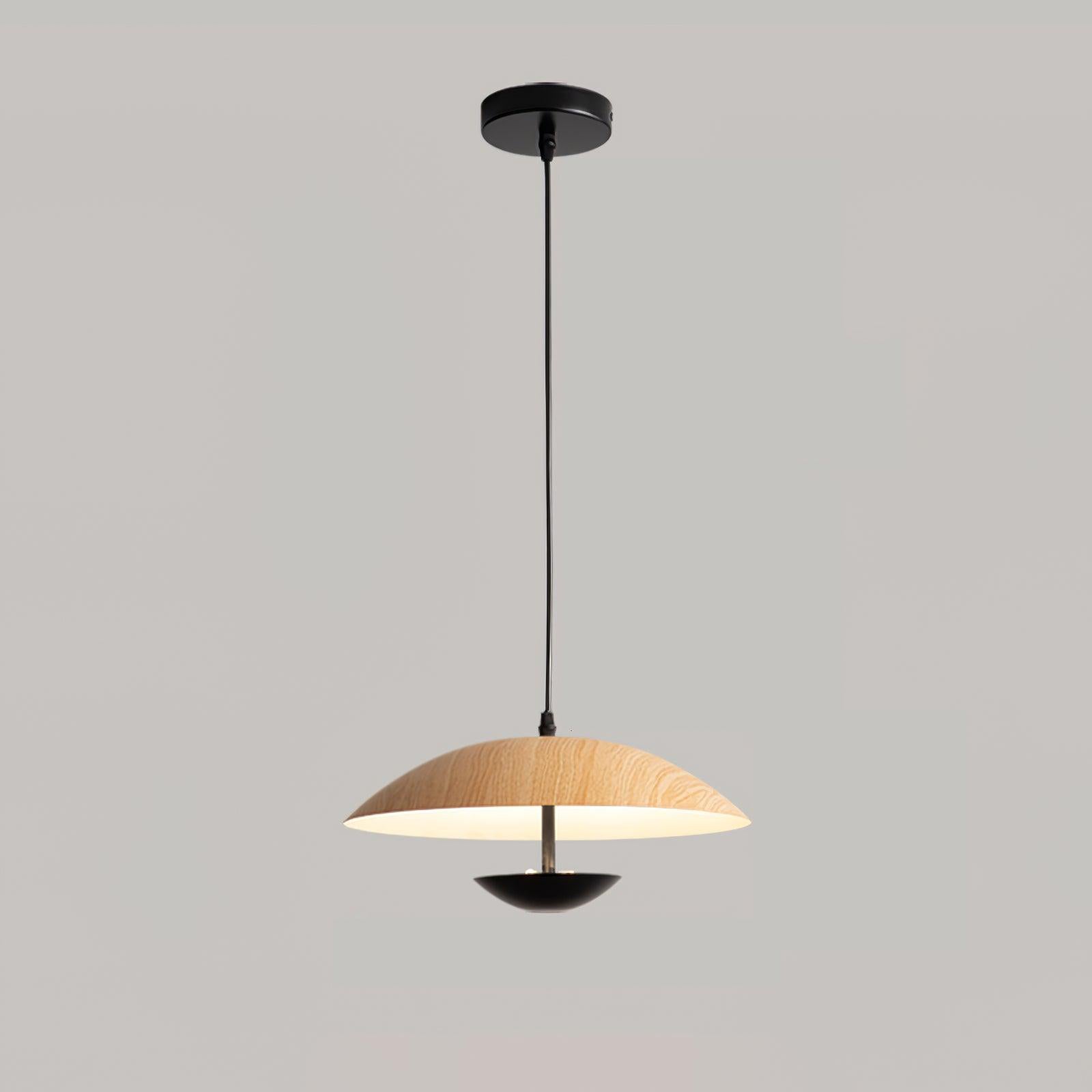 Frisbee Pendant Lamp - Lamp Outdoor