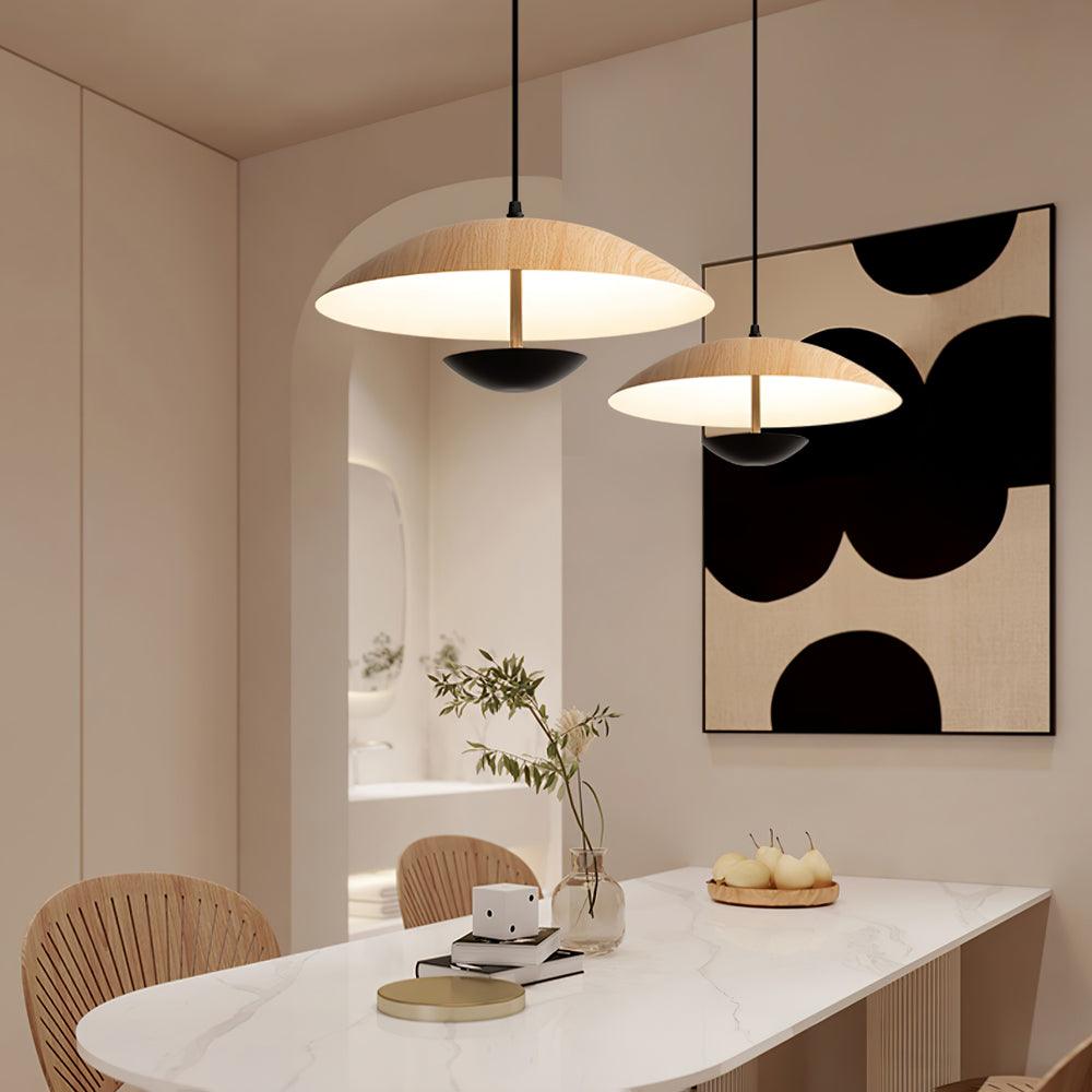 Frisbee Pendant Lamp - Lamp Outdoor