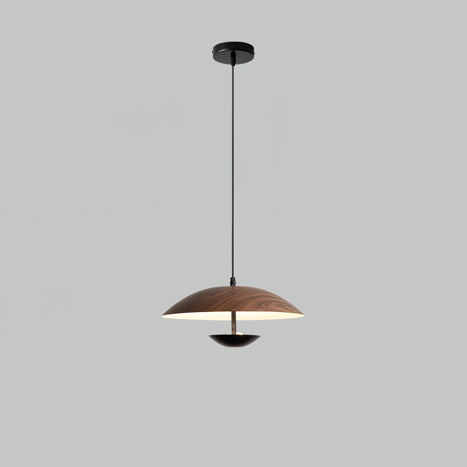 Frisbee Pendant Lamp - Lamp Outdoor
