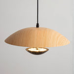 Frisbee Pendant Lamp - Lamp Outdoor