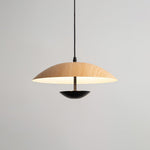 Frisbee Pendant Lamp - Lamp Outdoor