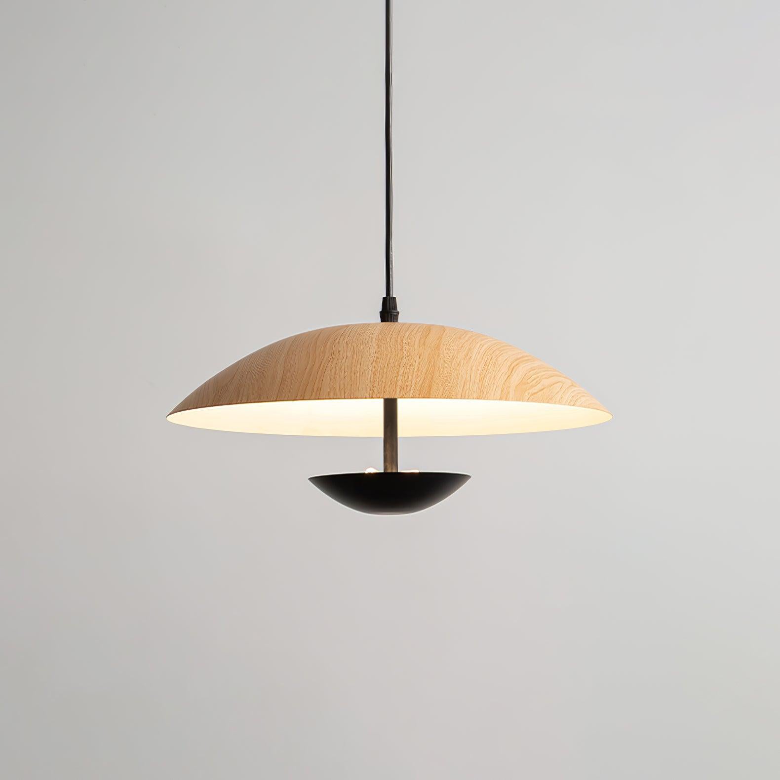 Frisbee Pendant Lamp - Lamp Outdoor