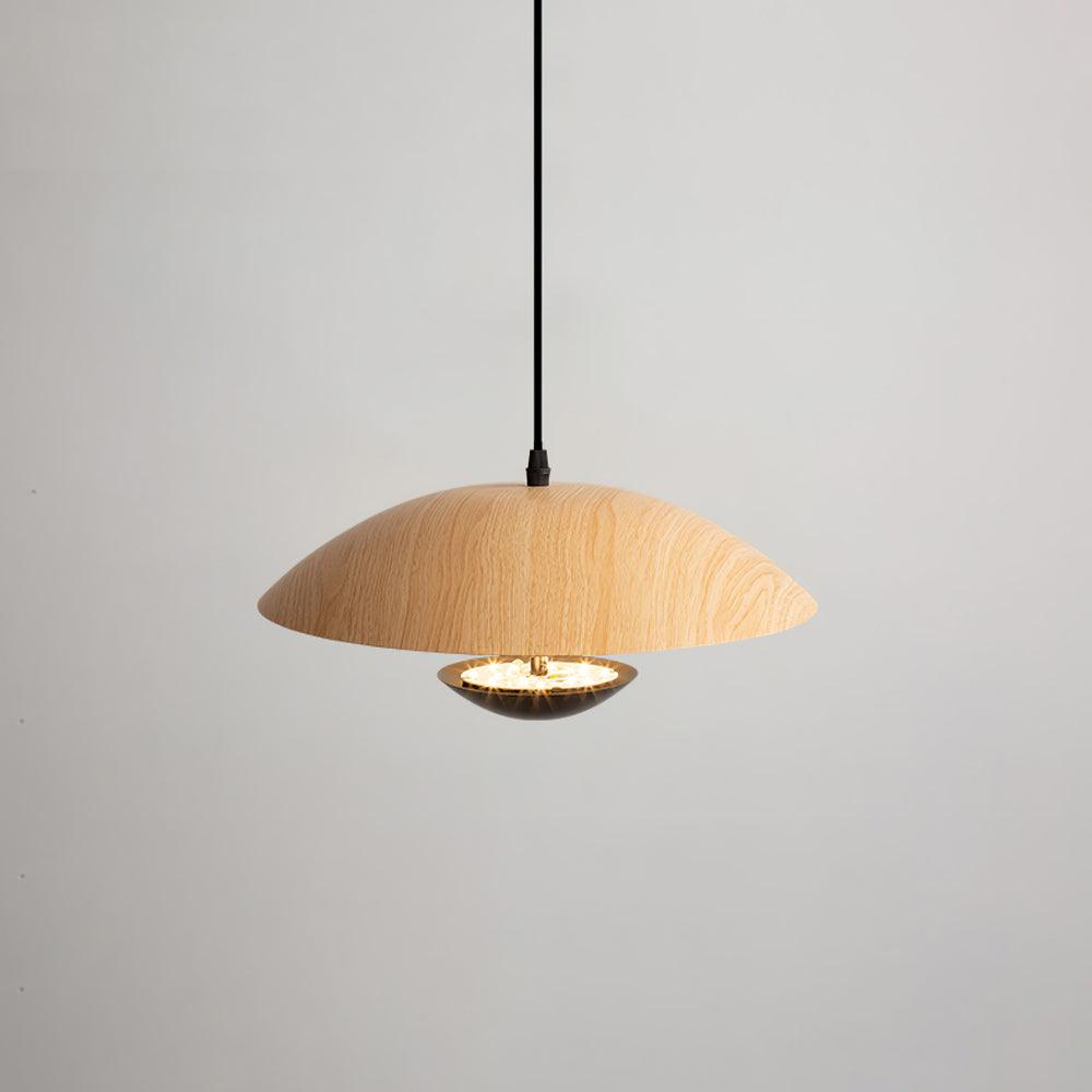 Frisbee Pendant Lamp - Lamp Outdoor