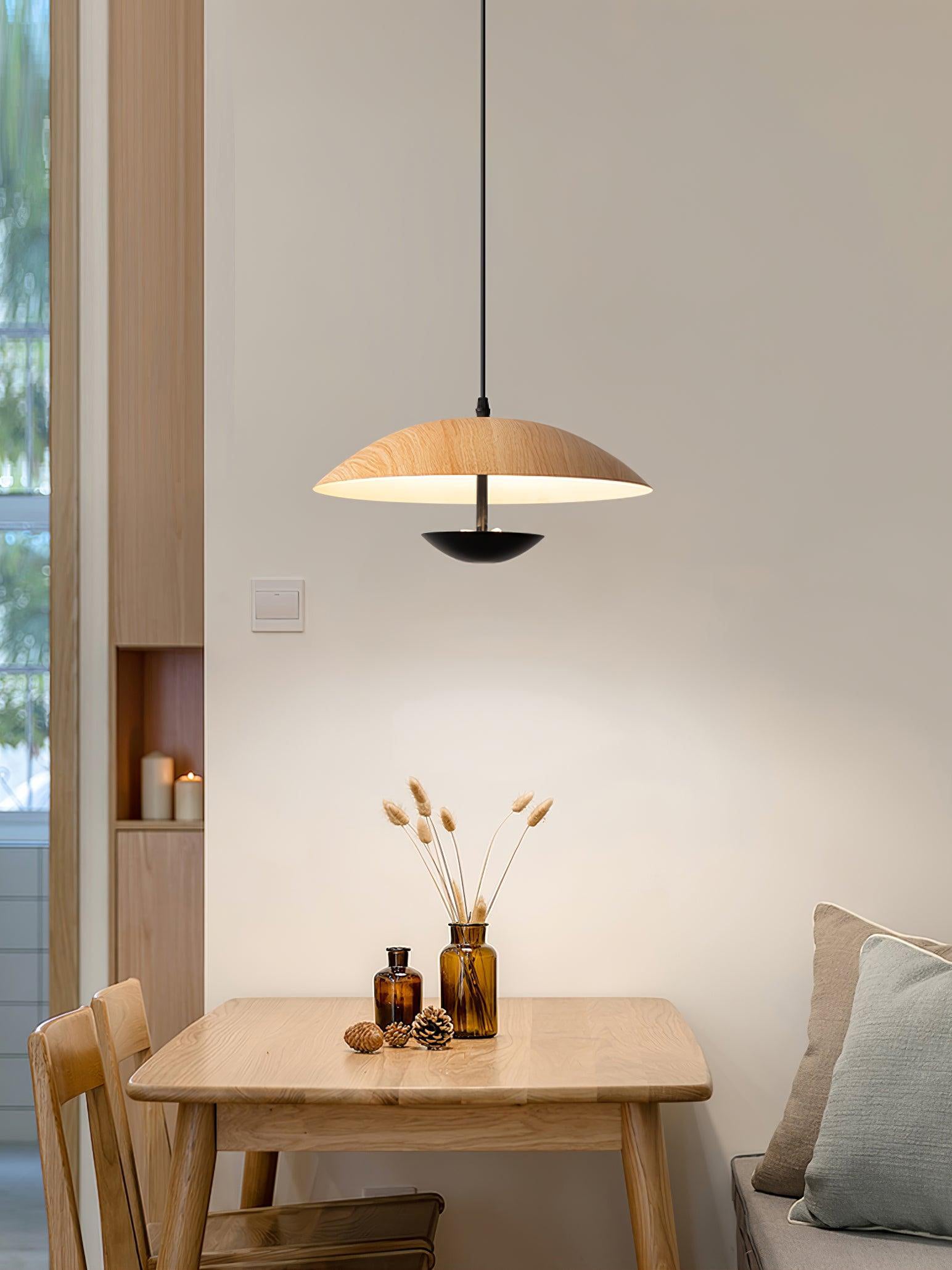 Frisbee Pendant Lamp - Lamp Outdoor