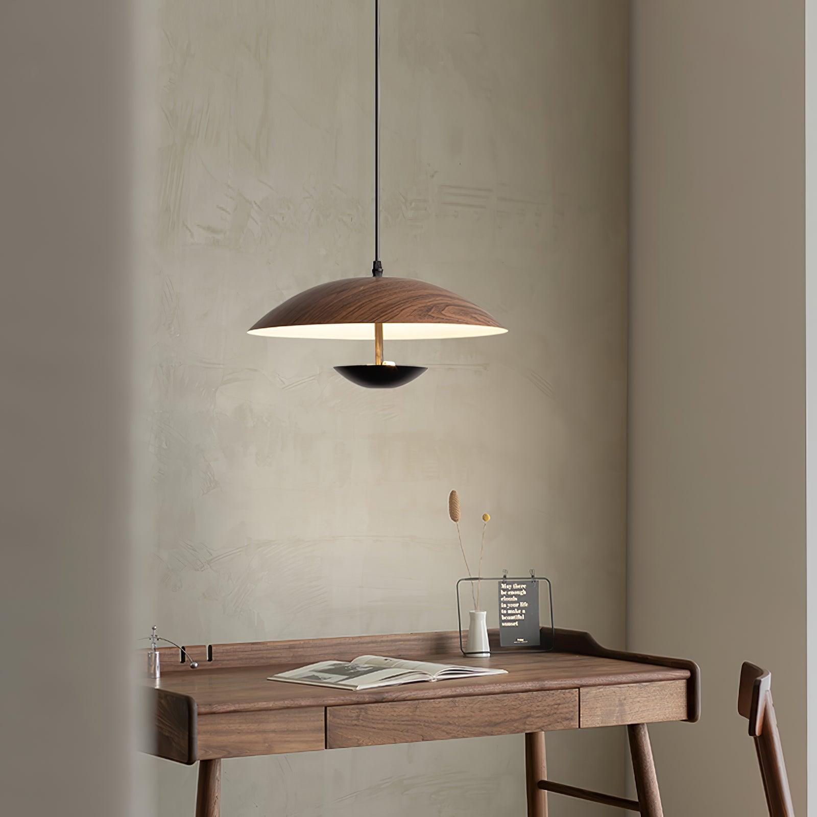 Frisbee Pendant Lamp - Lamp Outdoor