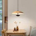 Frisbee Pendant Lamp - Lamp Outdoor
