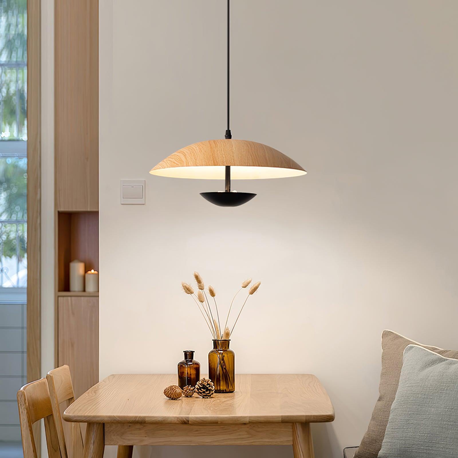 Frisbee Pendant Lamp - Lamp Outdoor