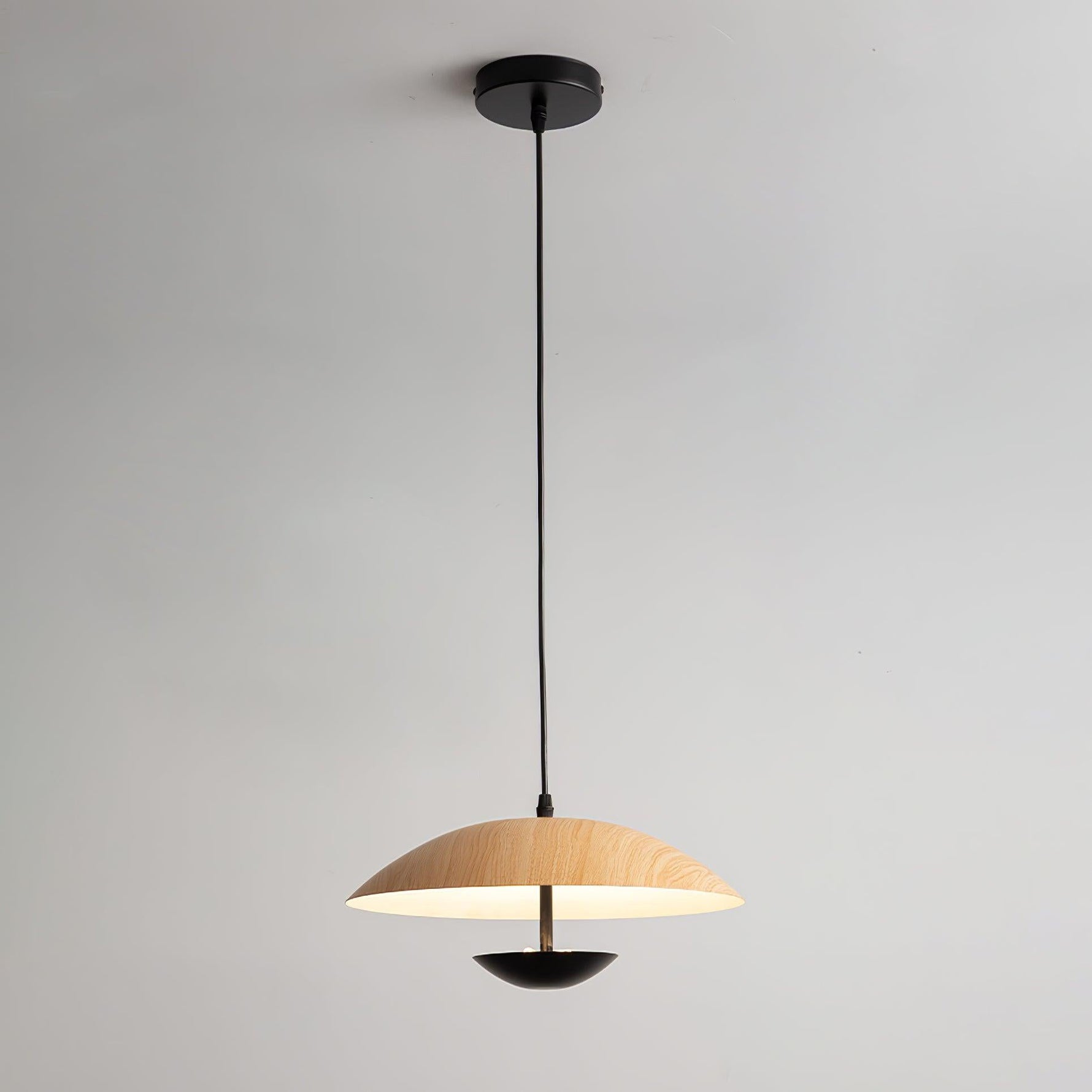 Frisbee Pendant Lamp - Lamp Outdoor