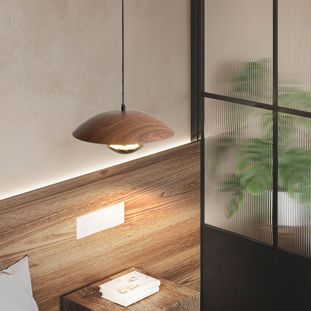 Frisbee Pendant Lamp - Lamp Outdoor
