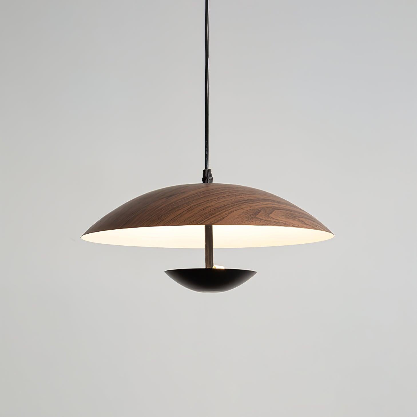 Frisbee Pendant Lamp - Lamp Outdoor