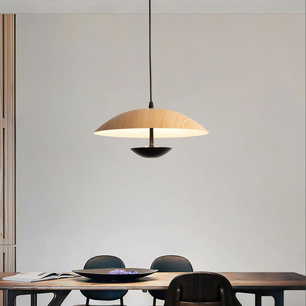 Frisbee Pendant Lamp - Lamp Outdoor
