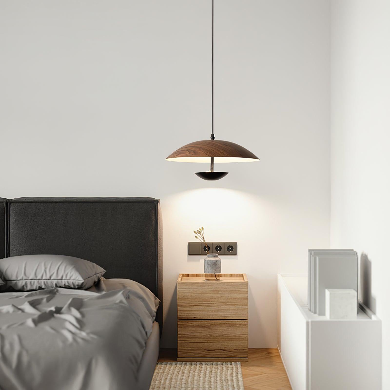 Frisbee Pendant Lamp - Lamp Outdoor