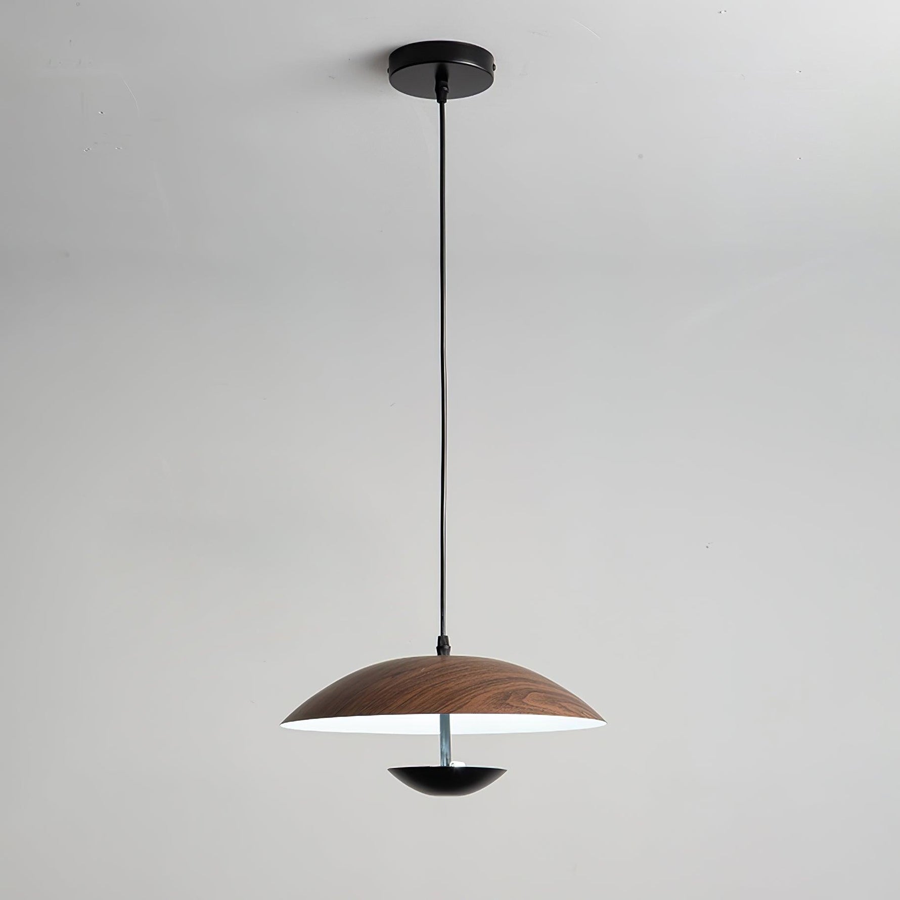 Frisbee Pendant Lamp - Lamp Outdoor