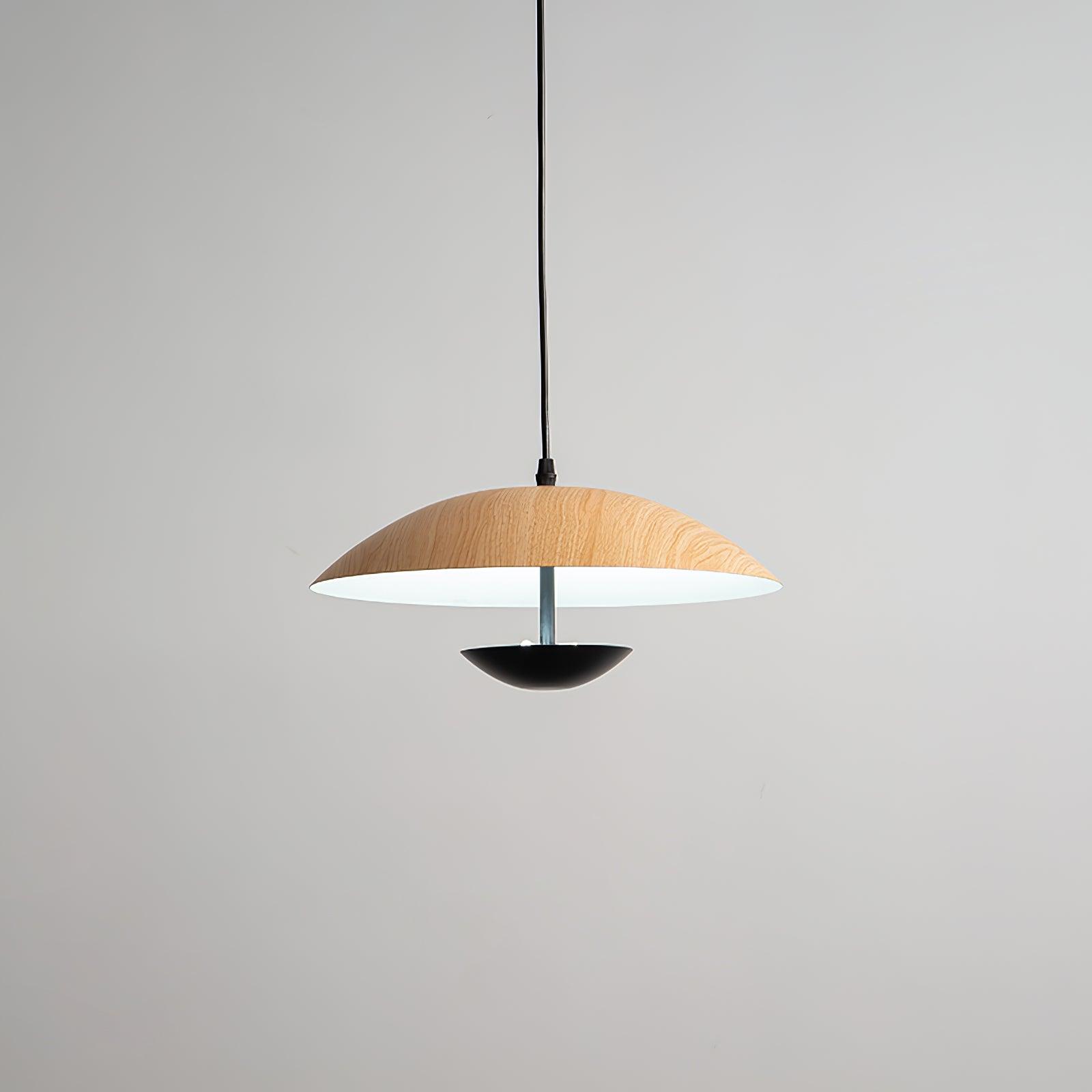 Frisbee Pendant Lamp - Lamp Outdoor