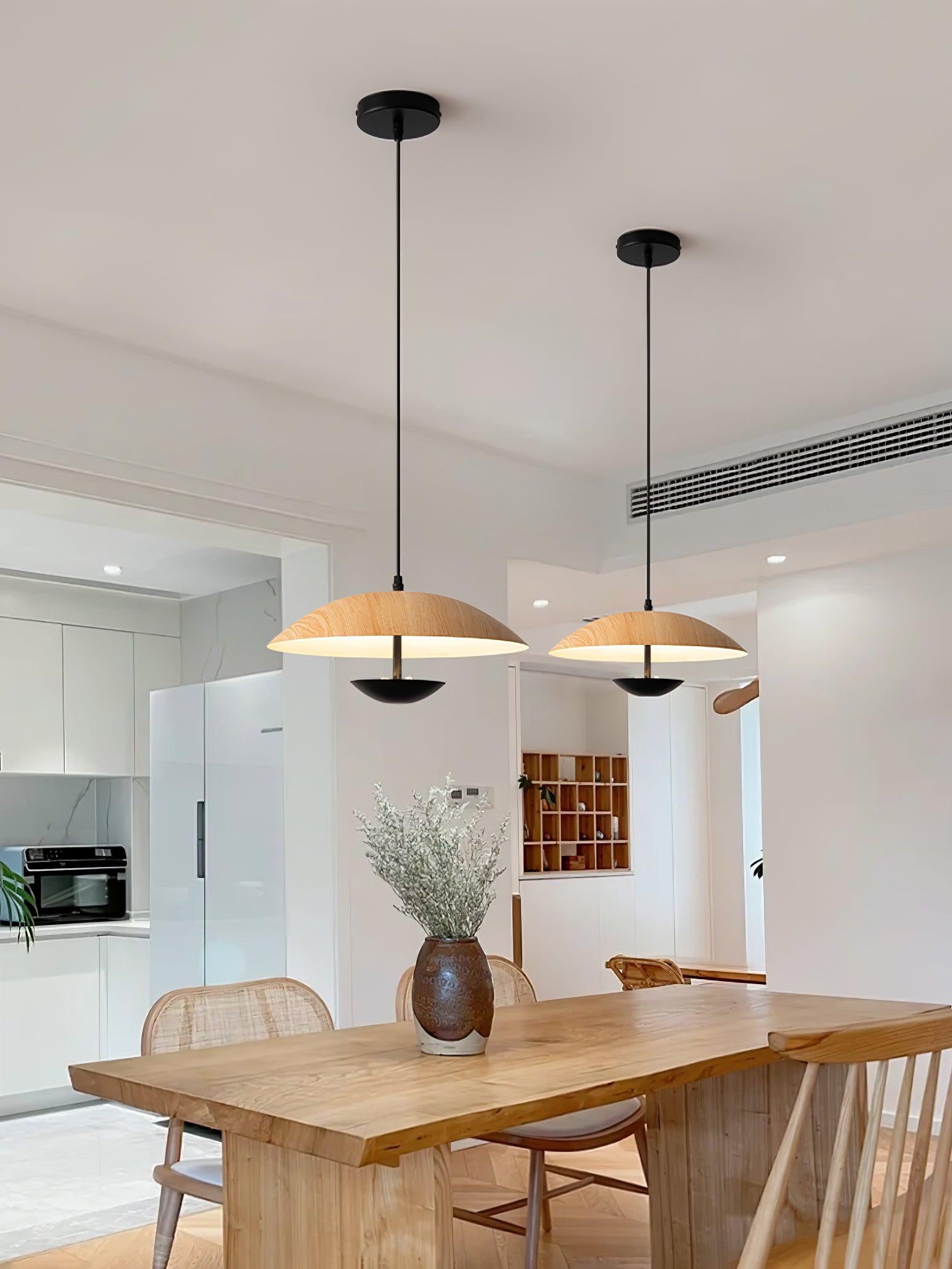Frisbee Pendant Lamp - Lamp Outdoor
