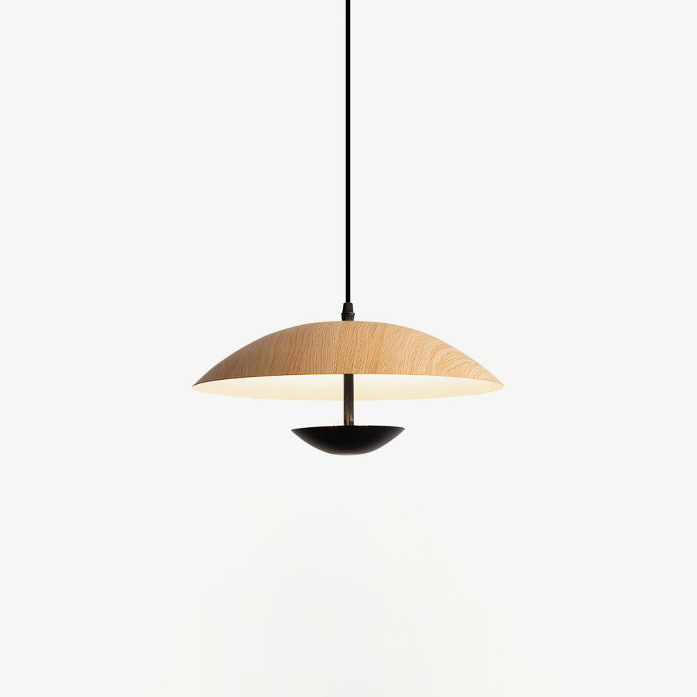 Frisbee Pendant Lamp - Lamp Outdoor
