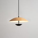 Frisbee Pendant Lamp - Lamp Outdoor