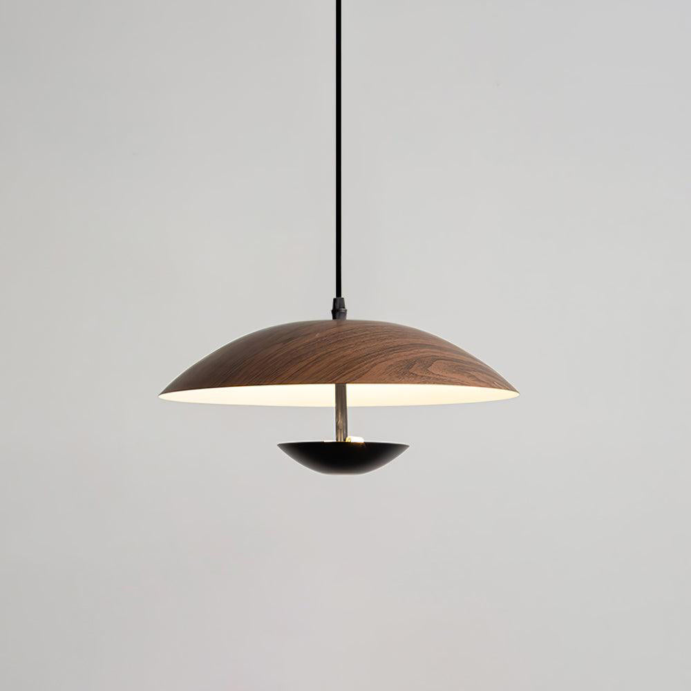 Frisbee Pendant Lamp - Lamp Outdoor