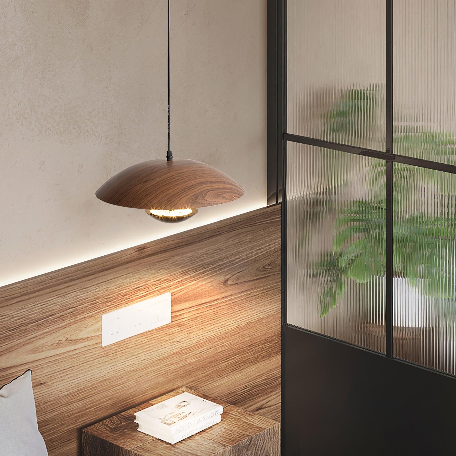 Frisbee Pendant Lamp - Lamp Outdoor