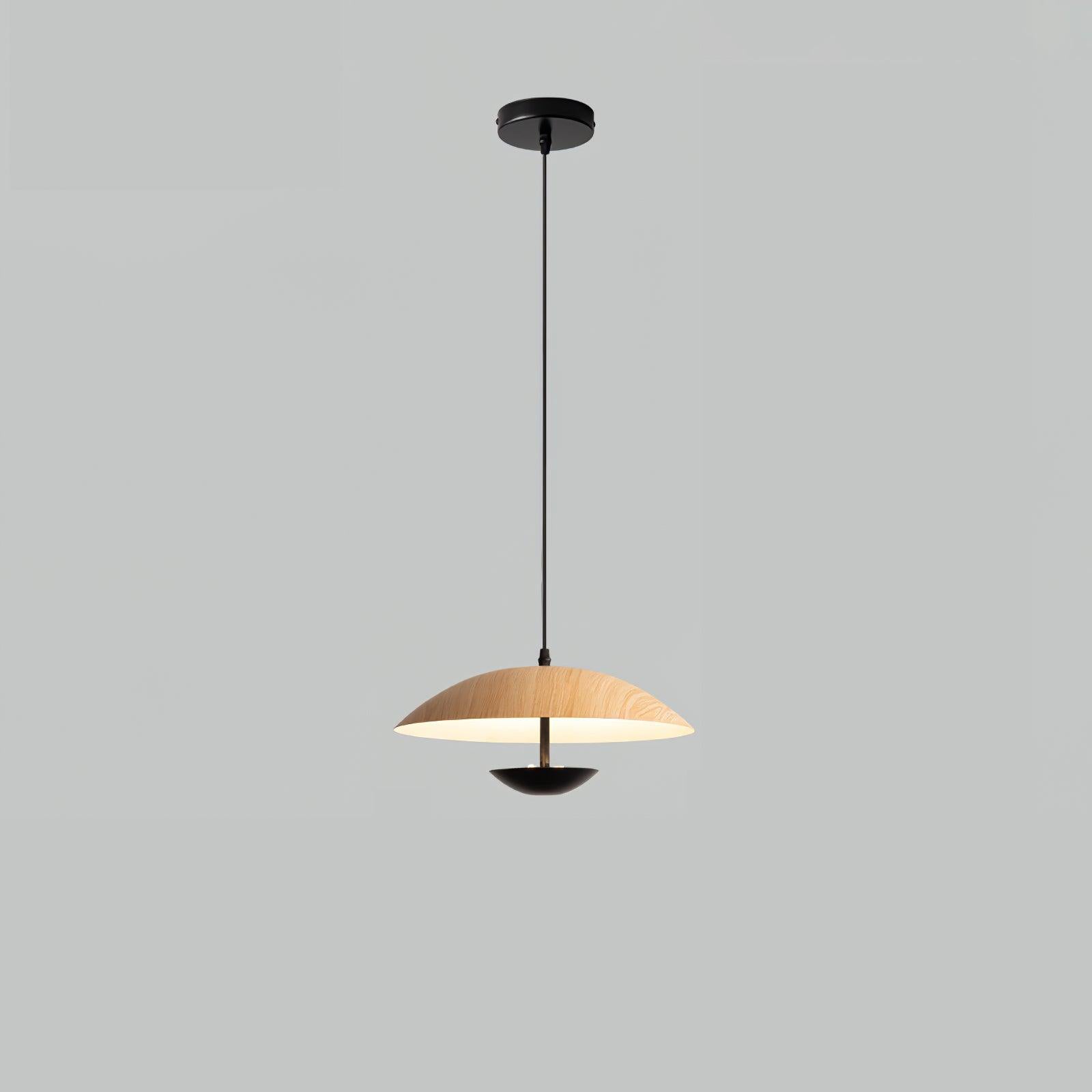 Frisbee Pendant Lamp - Lamp Outdoor