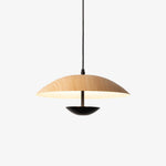 Frisbee Pendant Lamp - Lamp Outdoor