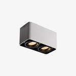 Giyan Surface Spotlight - Lamp Outdoor