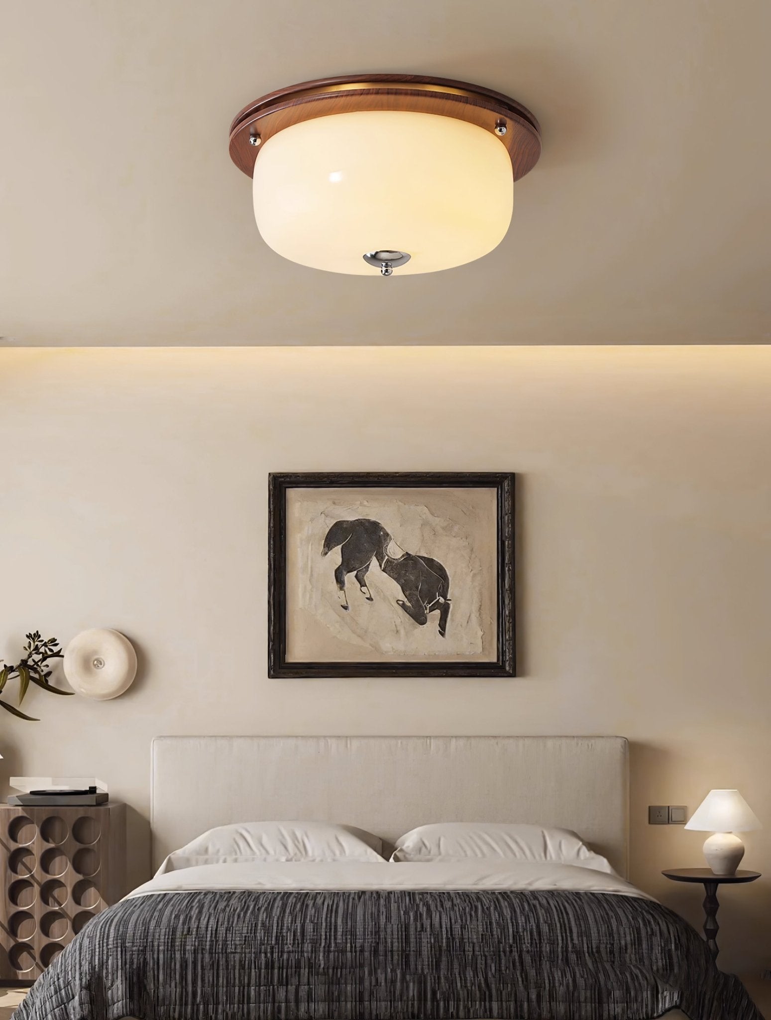Glass Dome Ceiling Light - Lamp Outdoor