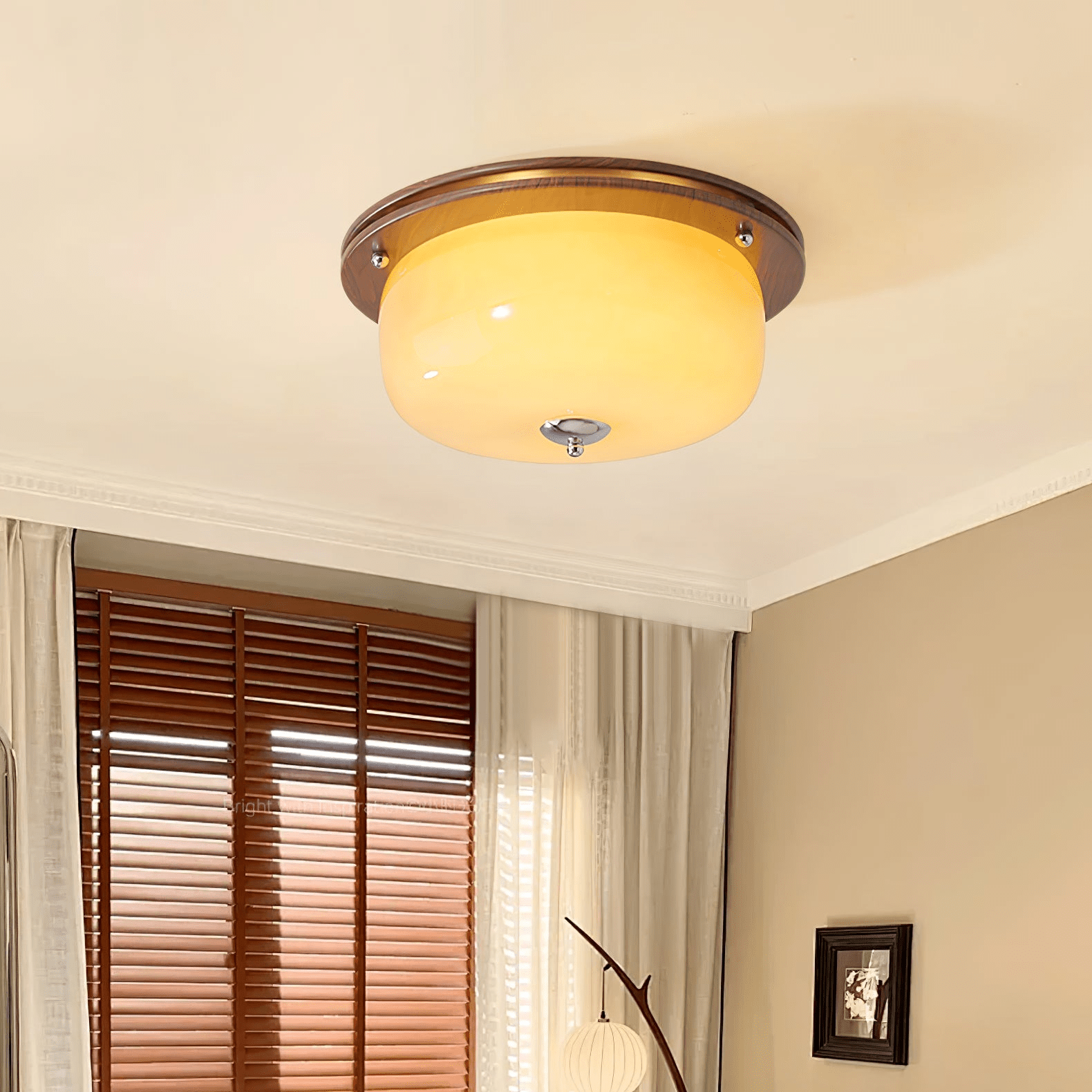 Glass Dome Ceiling Light - Lamp Outdoor