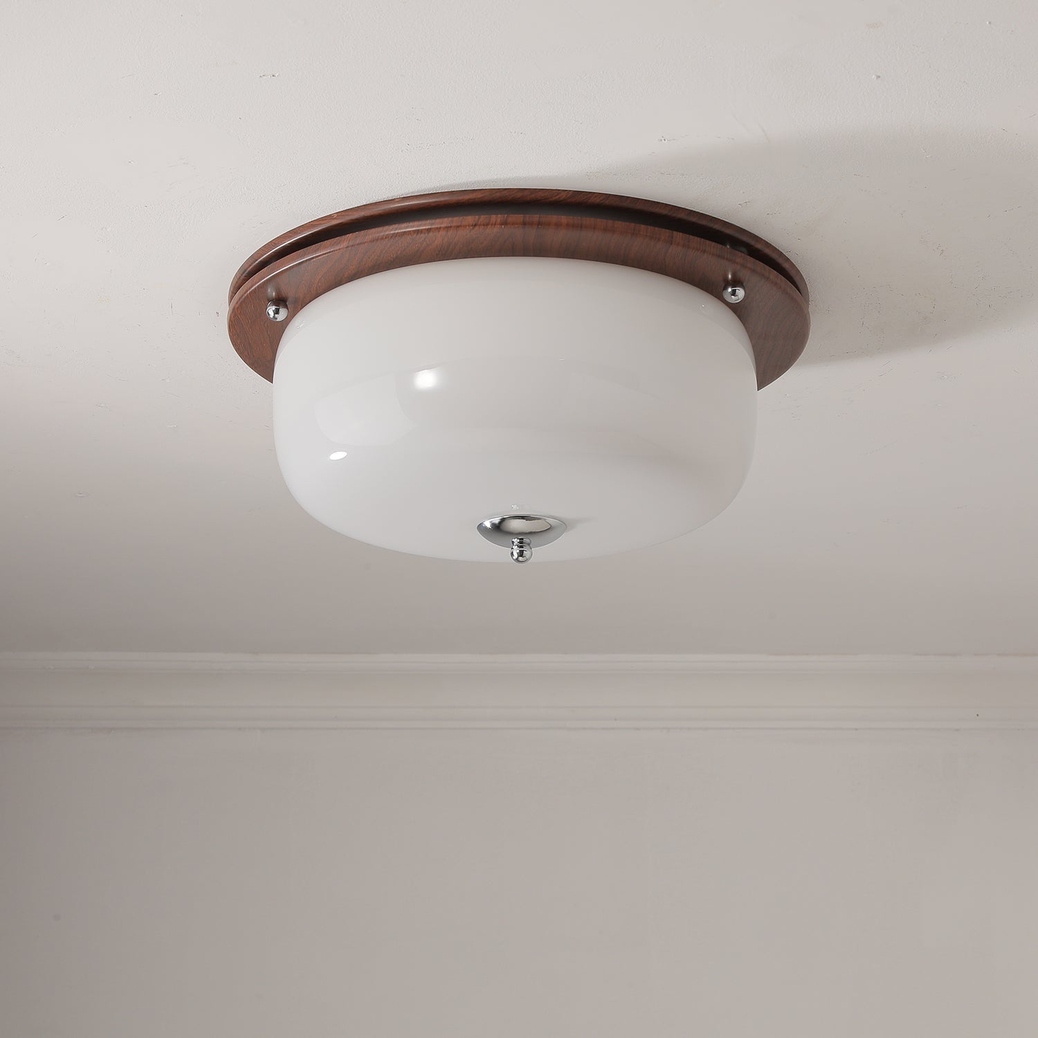 Glass Dome Ceiling Light - Lamp Outdoor