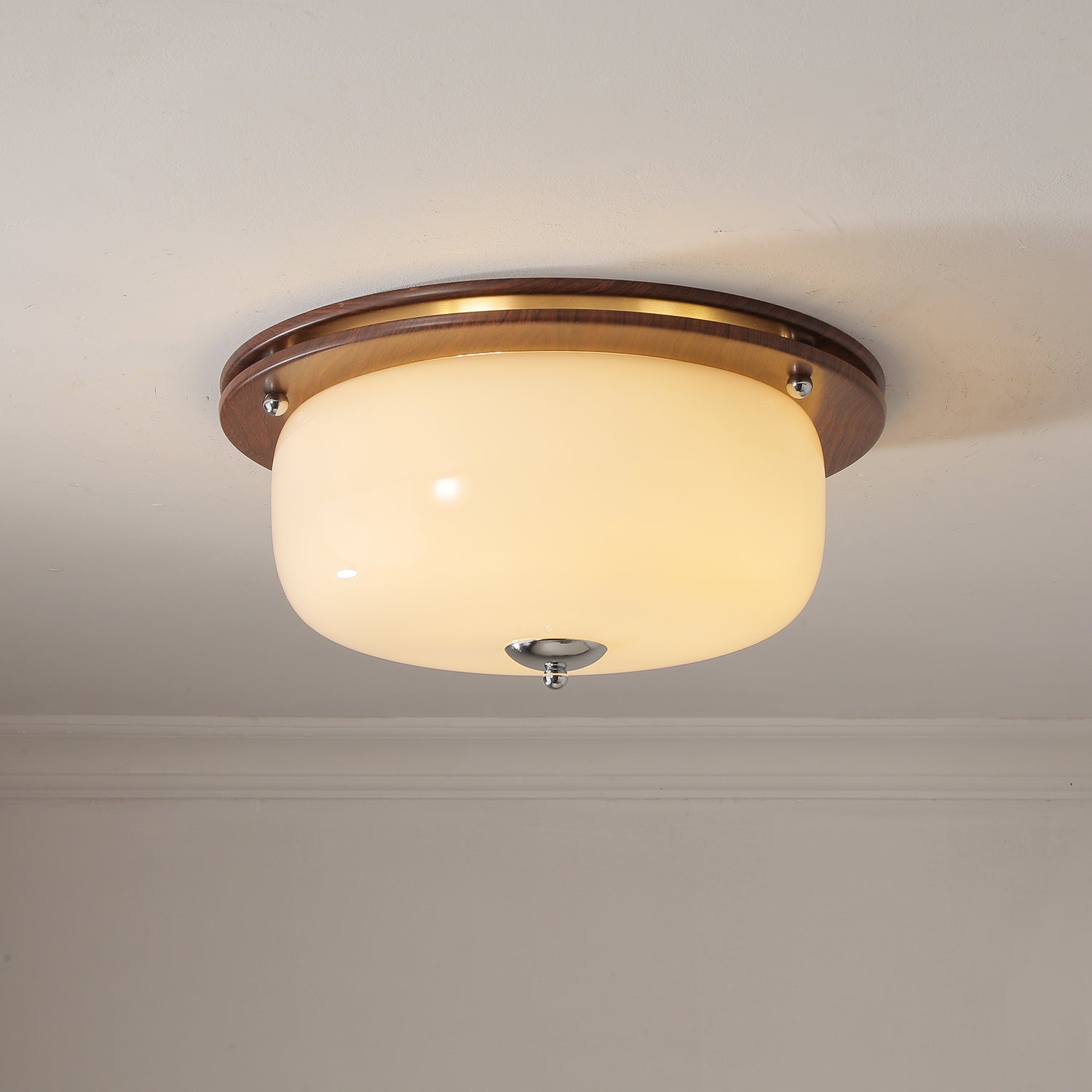 Glass Dome Ceiling Light - Lamp Outdoor