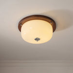 Glass Dome Ceiling Light - Lamp Outdoor