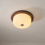 Glass Dome Ceiling Light - Lamp Outdoor