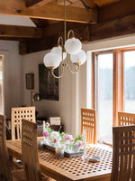 Gooseneck Chandelier - Lamp Outdoor