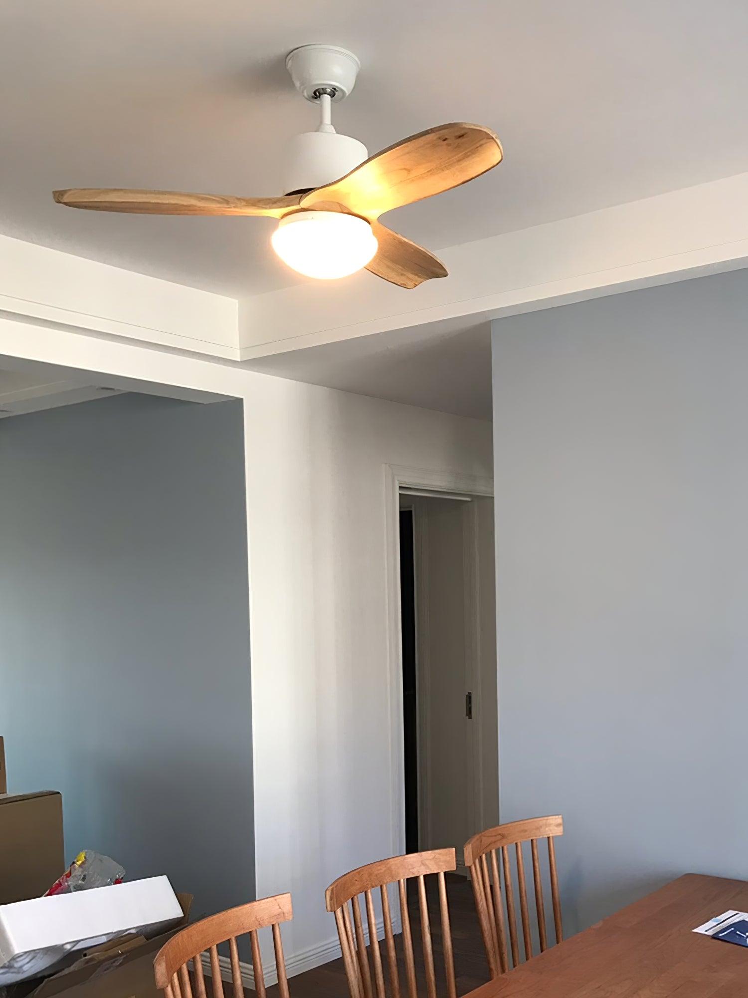 Harborough 3 Ceiling Fan Light - Lamp Outdoor